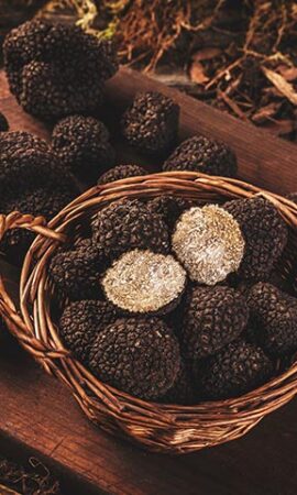 funghi-e-tartufi
