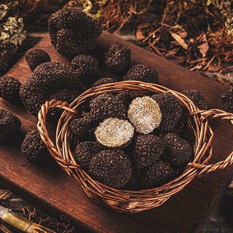 funghi-e-tartufi
