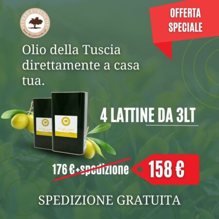 box-olio-12-litri-azienda-agricola-cavazza