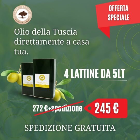 box-olio-20-litri-azienda-agricola-cavazza